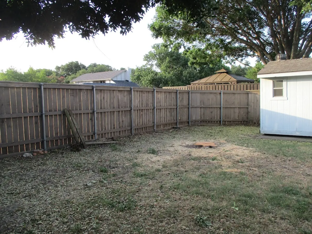 Cleared yard after professional tree removal in Hardinsburg